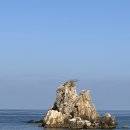 동해안자전거도로6(동) 네이버블로그