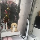 더끌레르왁싱