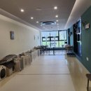 히포파통 이미지