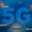 선트래픽