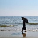 안면도 카사블랑카 | 태안 해루질 펜션 카사블랑카 삼봉해수욕장 과 수영장 가족여행 하기 좋은 곳