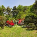 안성탑공인중개사사무소 이미지