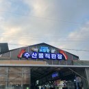 태안 모항항 횟집 참돔포장 후기 만복수산