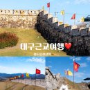 청도 금천 비소 11 | [경북/청도]청도읍성,은행나무 애견동반 산책기록