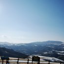 수당목장 이미지