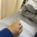 서귀포365일의원 이미지