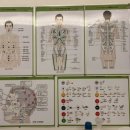 체형교정원 - 김포시 김포한강10로133번길 127 | 안양 체형교정 성길주 체형교정원 솔직 후기 고질적인 목 허리 통증 탈출기