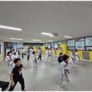 멘토 태권도 교육관 이미지