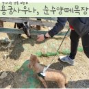 용궁목장 네이버블로그