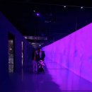 소리폭포(미디어) | 제주 아이랑 함께 추천! 빛과 소리에 빠진 아르떼뮤지엄 제주 후기