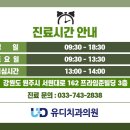 원주유디치과의원 이미지