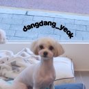 송내동3 이미지