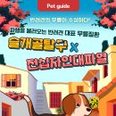 바른반려견센터 이미지