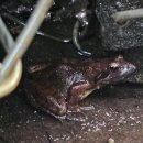 펀포레스트 이미지