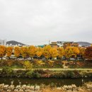 안양2동-1 이미지