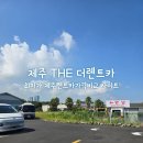 ㈜땡큐제주렌트카 | 최저가 제주렌트카가격비교 사이트 제주더렌트카