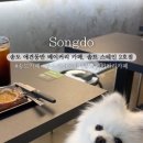 솔트스테인(Saltstain) 이미지