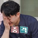 벌 민박 OSEN