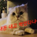 중원가든 이미지