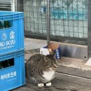 곰섬해수욕장 | [충남 태안] 8인 단체 숙소 추천 곰섬 해수욕장 근처 '태안오션힐리조트'