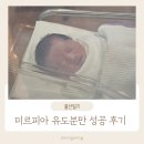 자연 | 전주 미르피아 산부인과 유도분만 초산모 자연분만 성공후기