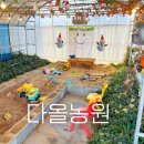 다올농장 | 울산 아이랑 함께 가볼만한곳 실내 농장 체험 다올농원