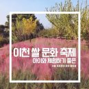 이천시 모가야구장 | [이천] 지역 대표 지역축제 &#34;이천 쌀 문화축제&#34; 행사 정보 및 관람 포인트