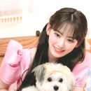 이쯔모 Daum카페
