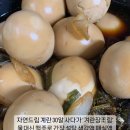 맥주 계란장조림/아보카도비빔밥 이미지