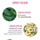 덴탈버디 이미지