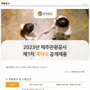 [제주관광공사 채용]2023년 제주관광공사 제1차 계약직 공개채용(~1/24) 이미지