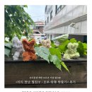 그림책으로 보는 반려동물과 보호자의 관계 | [참여 후기] 우리동생 개원 10주년 워크숍 &lt;미리 만난 털친구 : 모루 인형 만들기&gt;