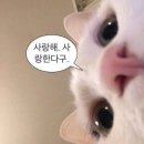 씨유 수원신동타운점 이미지