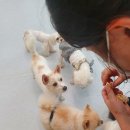 (주) 나날이 이미지