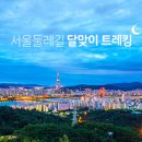 달맞이밤 이미지