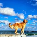 풀하우스펜션 이미지