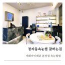 티아라속눈썹 | 정자동속눈썹 개화아이래쉬 분당점 티아라 속눈썹펌 블랙 시술 후기