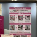 설렘고양이카페 이미지