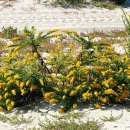 알레르기 이미지