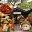시골밥상 Daum카페