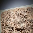 산수종합환경