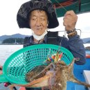 부경호 이미지