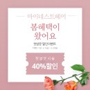 해운대미용실 / 장산역미용실 마이네스트헤어에서 여름 준비 염색하고 온 후기