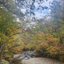 오대산 비로봉 단풍 이미지