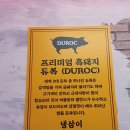보라 냉삼이
