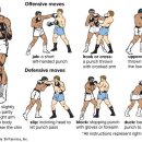 역동복싱 이미지