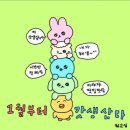 본주짓수서울신림 이미지