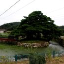 상주 김준신의사 제단비 이미지