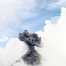 가야산식당 이미지