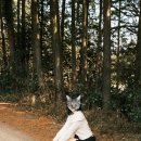 백번길 게스트하우스 이미지